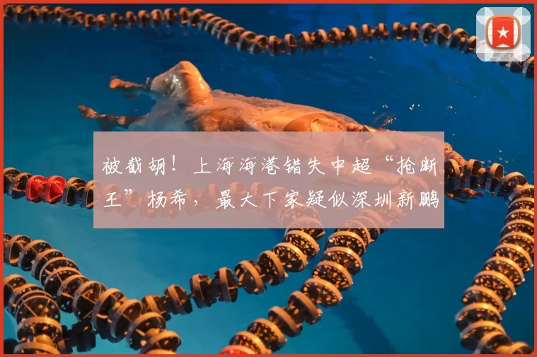 被截胡！上海海港错失中超“抢断王”杨希，最大下家疑似深圳新鹏城_苗原_李昊和_亚洲杯