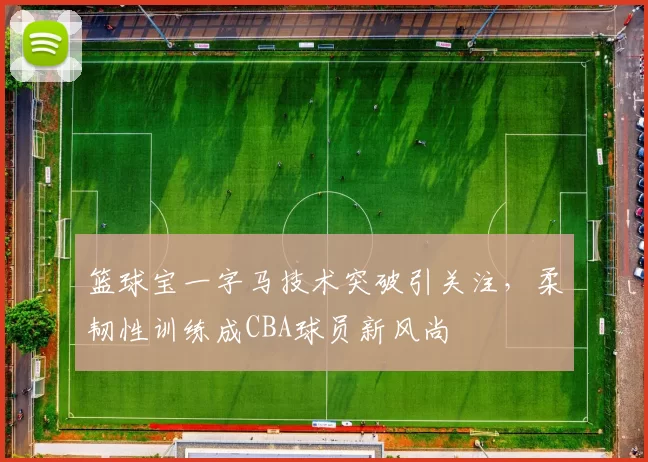 篮球宝一字马技术突破引关注，柔韧性训练成CBA球员新风尚